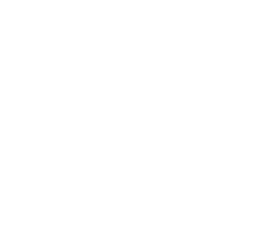 Trace Certification logo